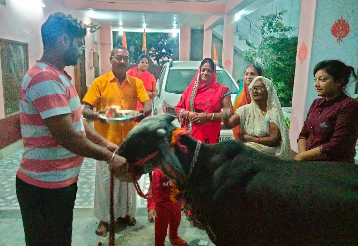 On Gopashtami, the worship of indigenous cows was done by law
