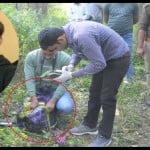 रोनिल हत्याकांड