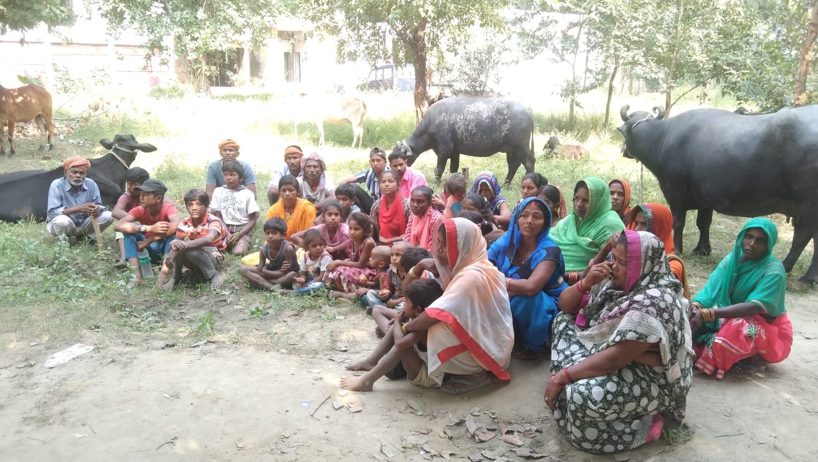 Tehsil arrived with animals, gave a sit-in