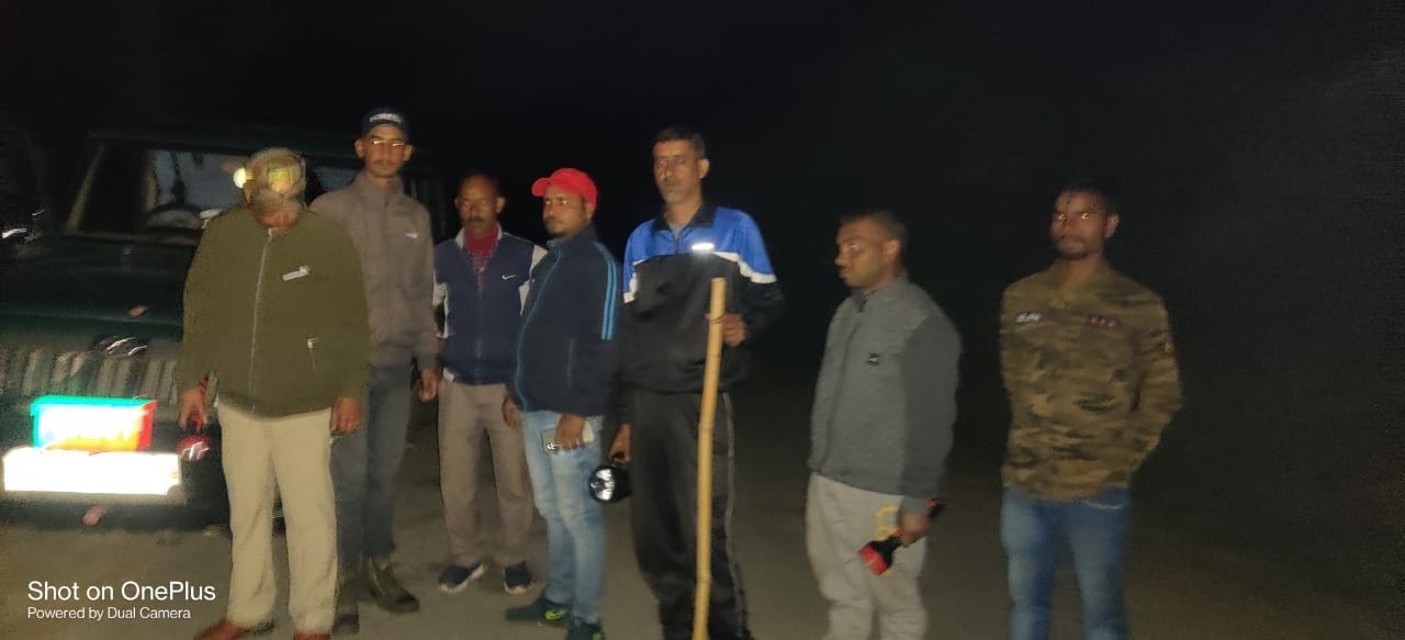 14 Goats Killed By Leopard - Bageshwar News - तेंदुए ने रिखाड़ी के ...