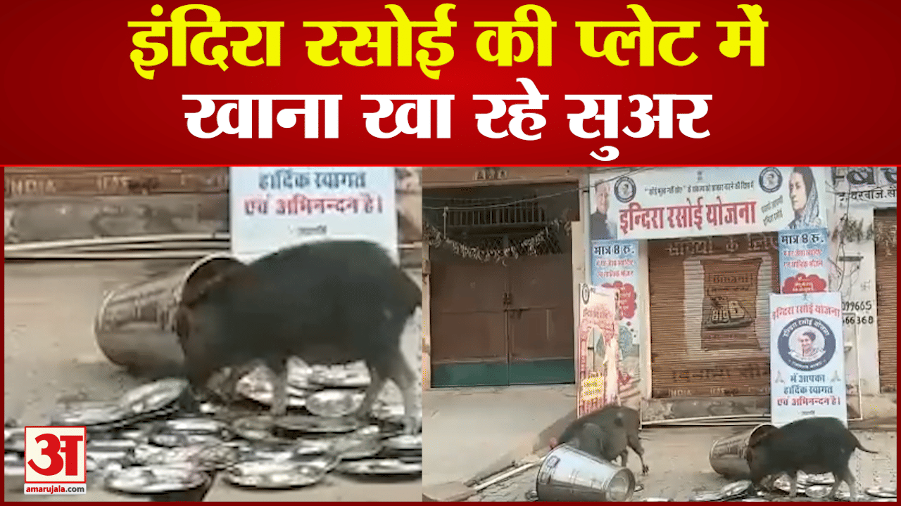 Indira Rasoi Video Viral