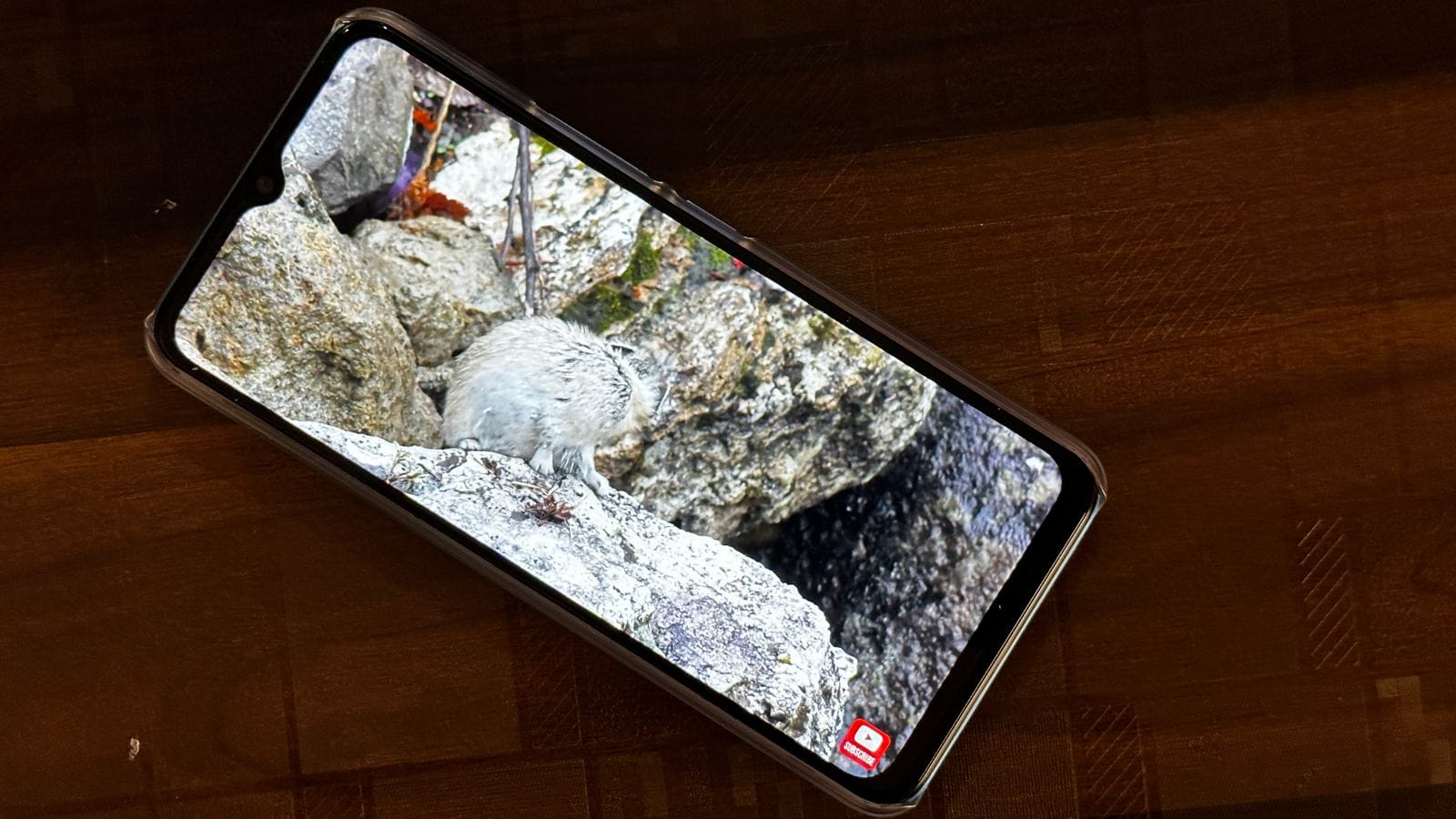 itel Vision 3 Turbo Review
