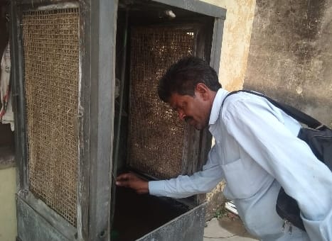 Teams reached home of dengue patients, larvae found in refrigerator tray