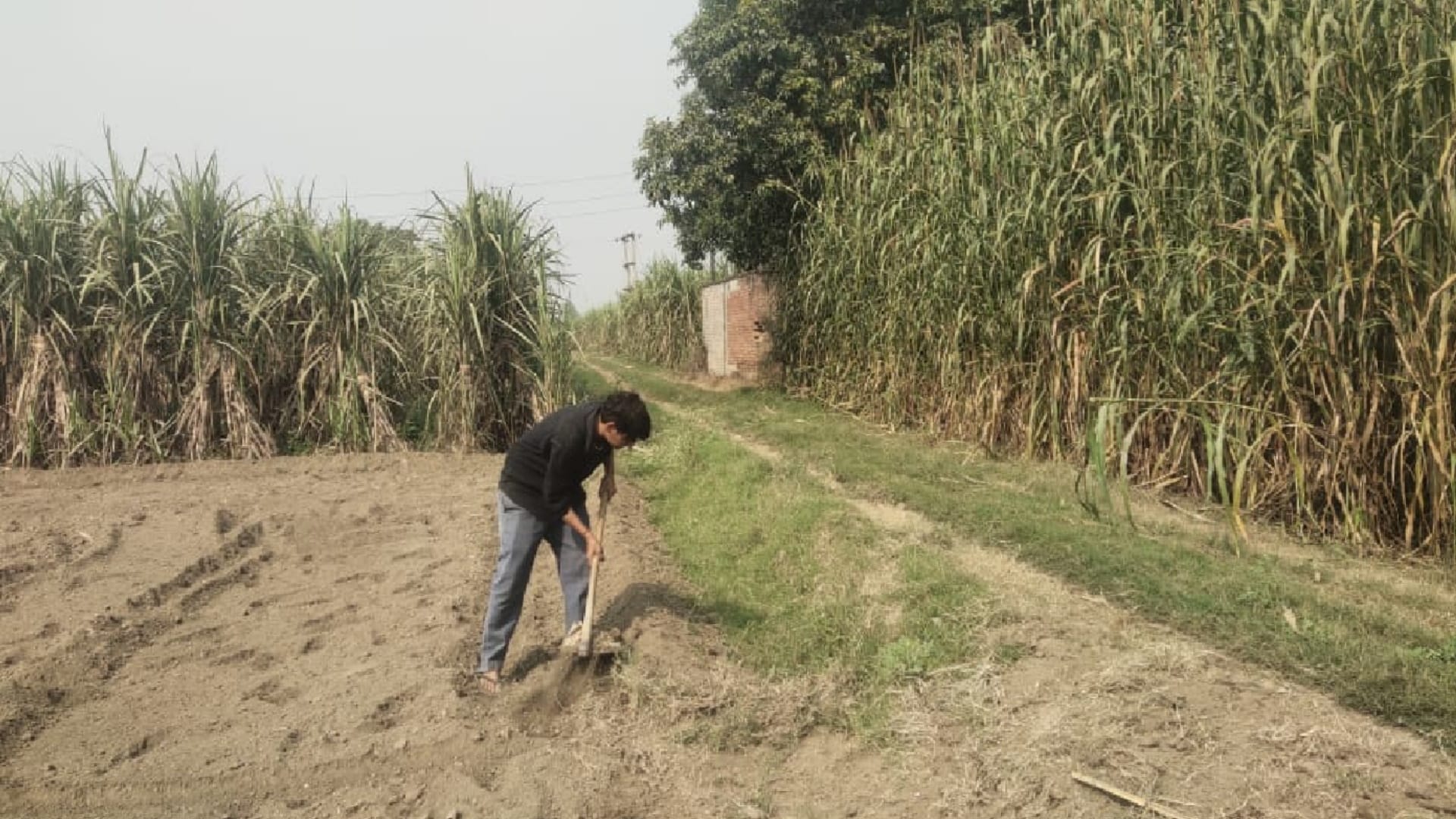 Meet Farmer Rakhi from Muzaffarnagar, she is setting an example for others, farming alone on bighas of land