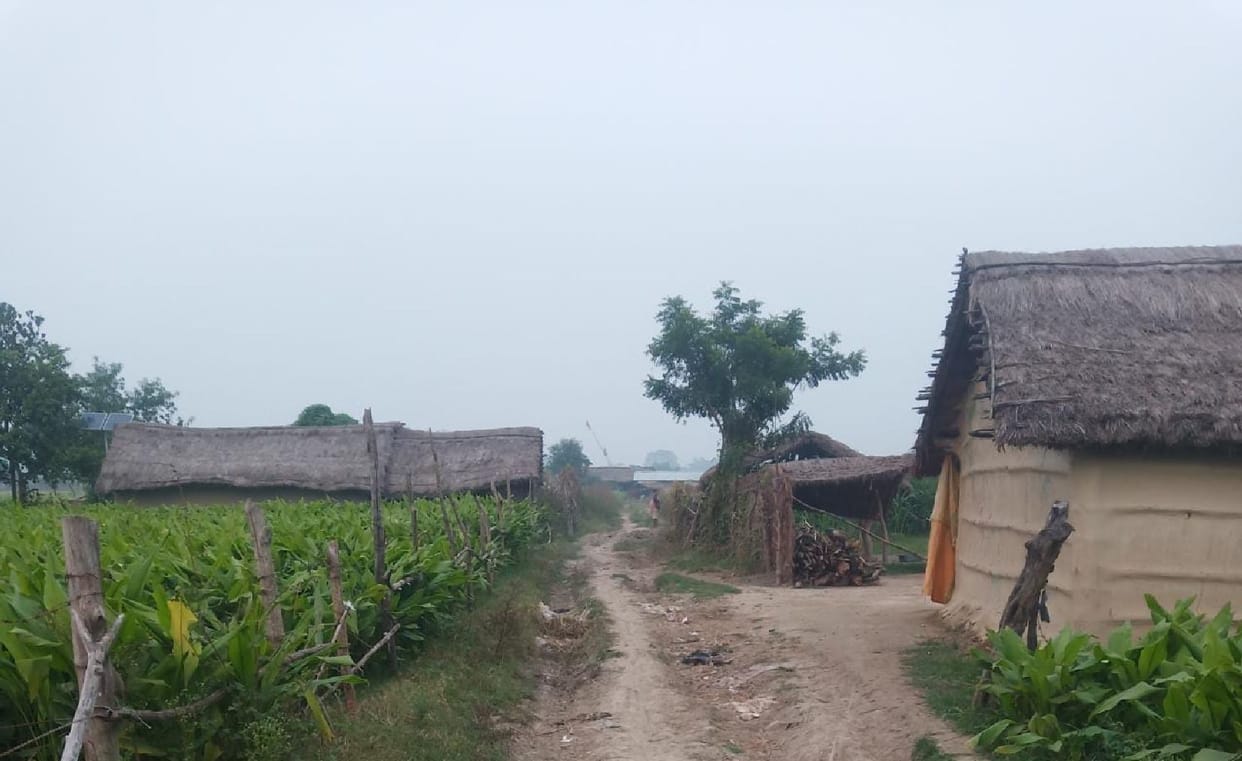Five forest dwellers will get the gift of facilities
