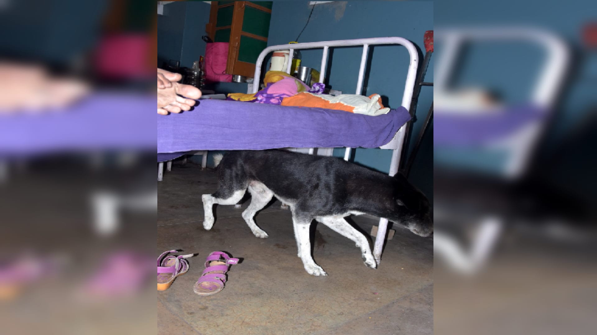 Saharanpur Sanitation system in district hospital has collapsed treatment of two patients on one bed