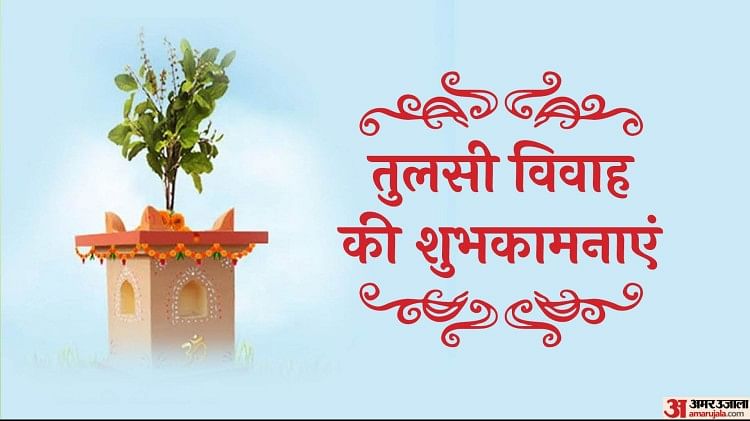 Tulsi Vivah Wishes 2022:तुलसी विवाह के मौके पर परिजनों को भेजें ये ...