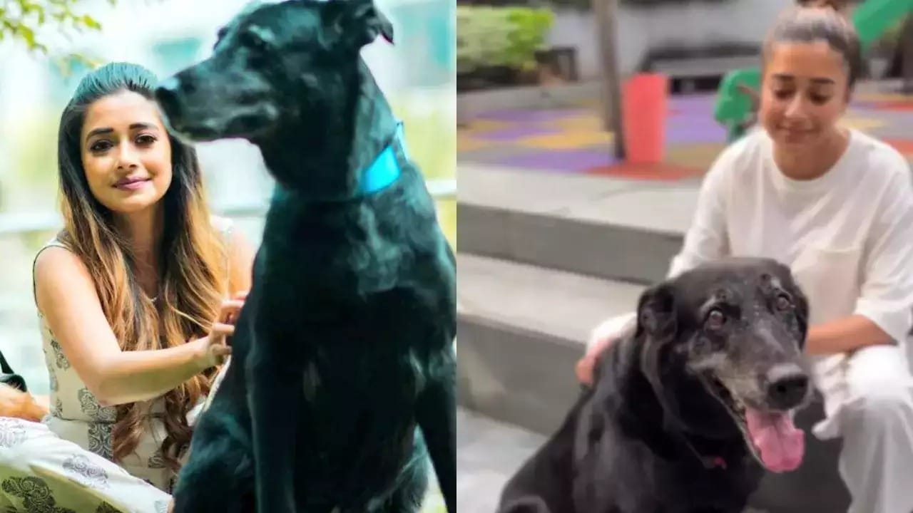 Bigg Boss 16: Tina dutta became emotional and cries bitterly after hearing the news of her Pet dog demise