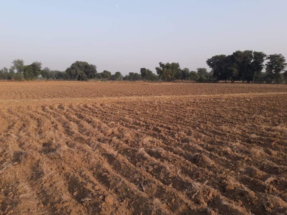 Crops are not getting water on time, increasing problems of farmers