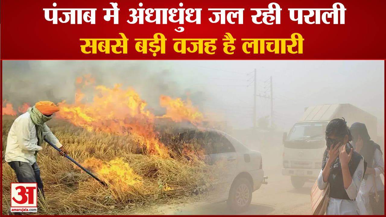 पंजाब पराली