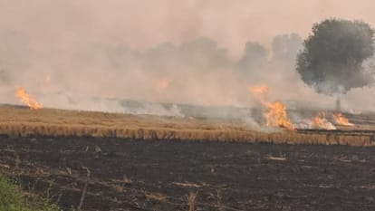 Action will be taken against farmers burning stubble in Shahjahanpur officials are on visiting