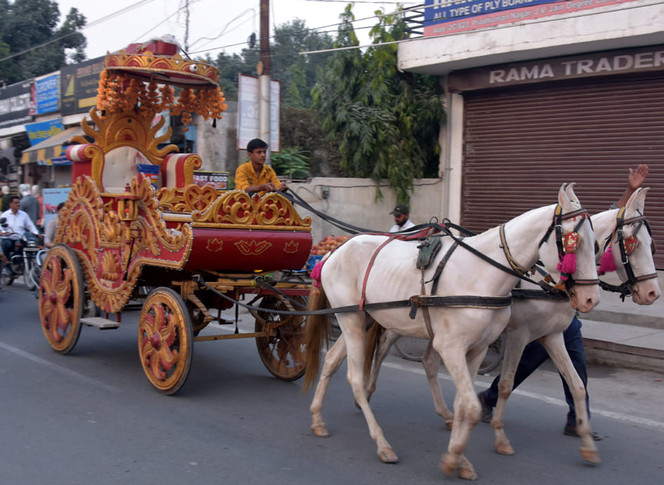 Bandbaja will play a lot on Devotthan Ekadashi