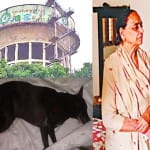 कुत्ते की मौत पर आत्महत्या