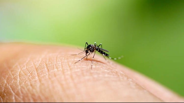 आईसीएमआर ने नई स्वदेशी तकनीक को खोजा