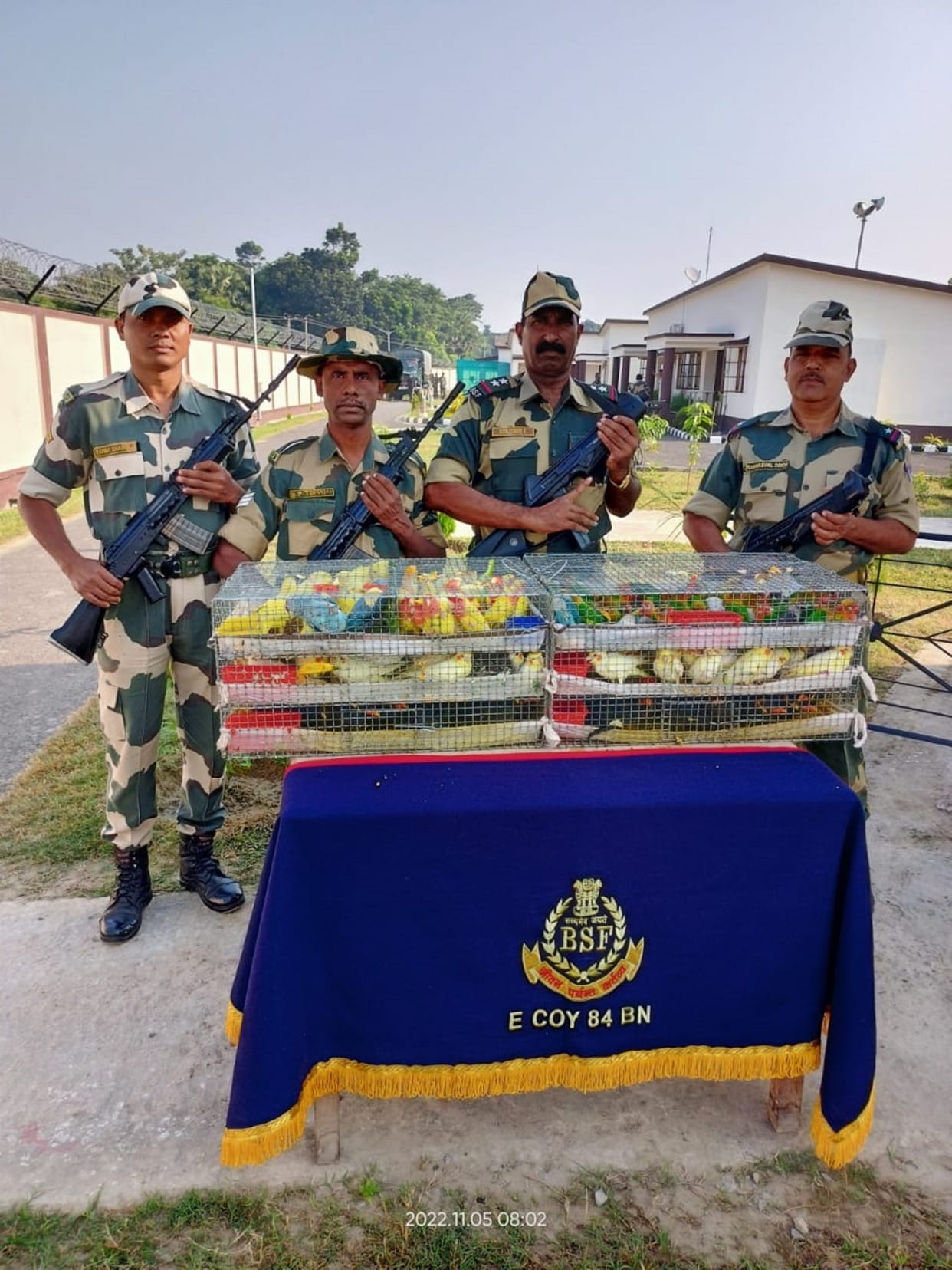 West Bengal: BSF rescues birds from smugglers on border