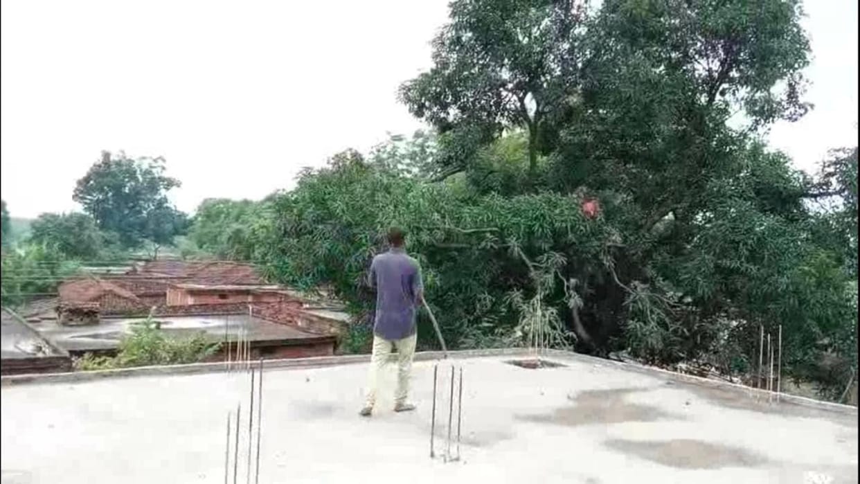 people are guarding roof with sticks to avoid monkeys in chhattisgarh