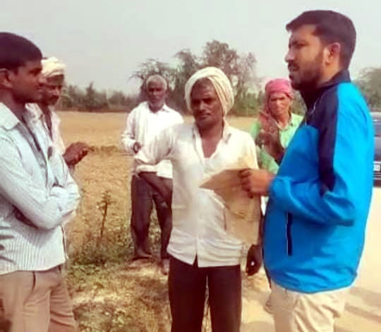 Grassland land was freed from possession
