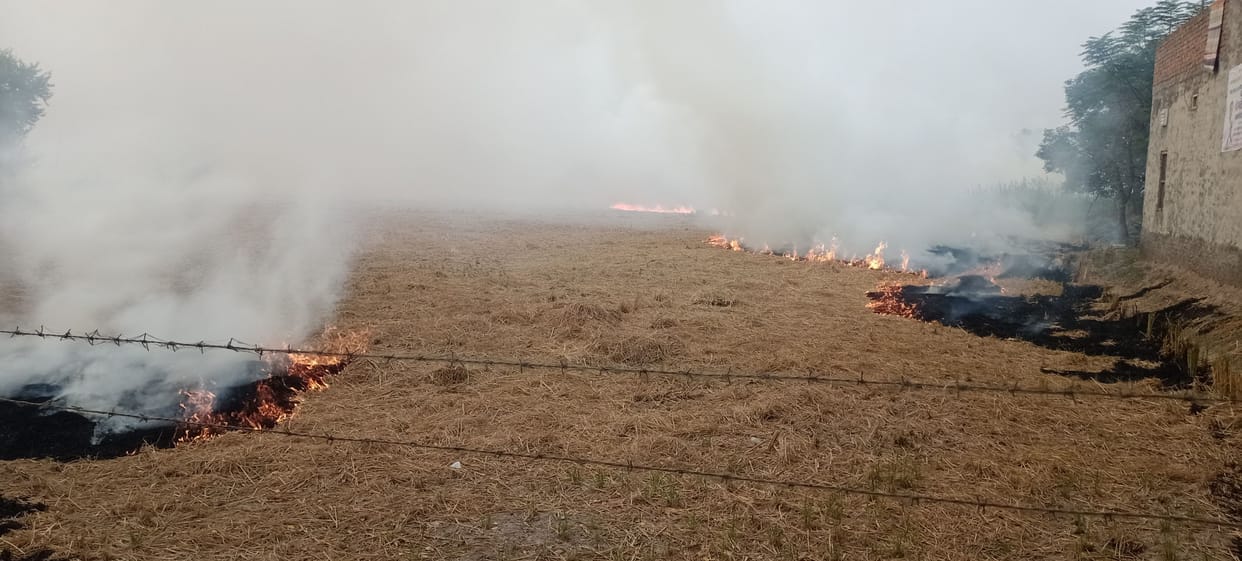 Relief from smog but stubble burning continues to stop