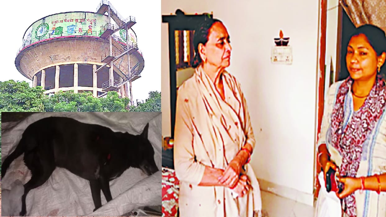 Girl Suicide on the death of a street dog, ten dogs were kept in the house