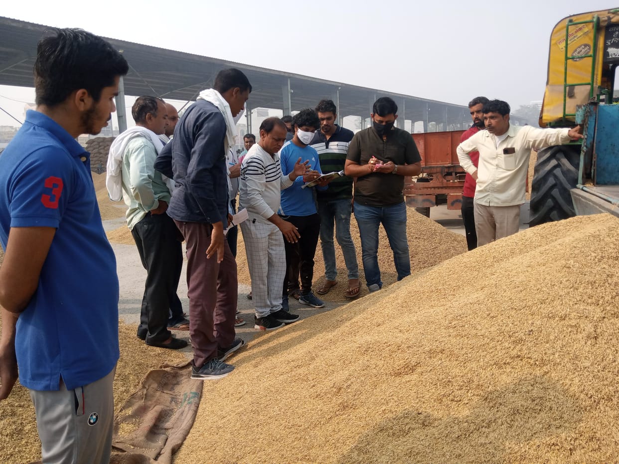 Paddy arrival intensified, price dropped by Rs 100 per quintal for two days