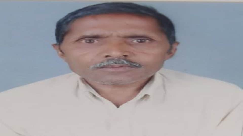 Mathura Accident Four died Bolero collide divider full of barat returning after bride Farewell