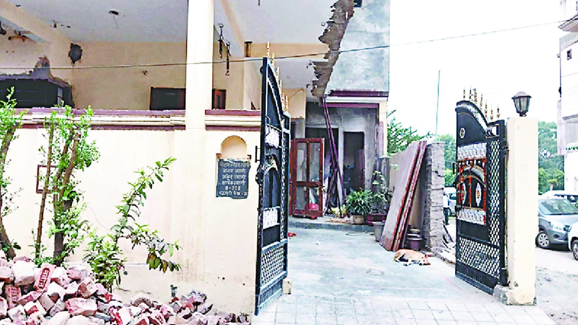 Girl Suicide on the death of a street dog, ten dogs were kept in the house