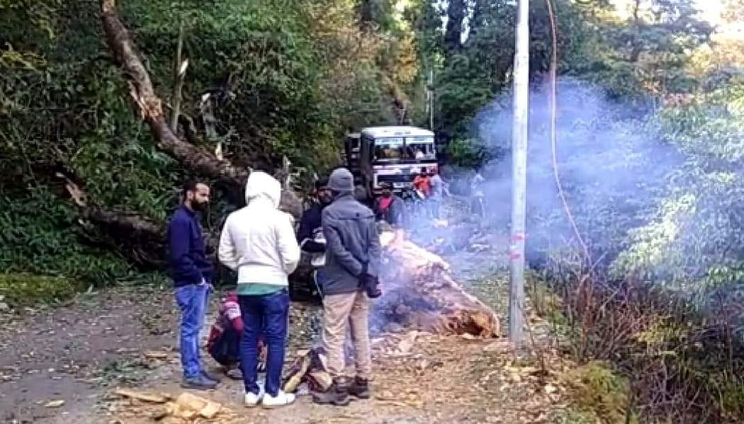 Auli motorway remained closed for six hours due to falling of trees