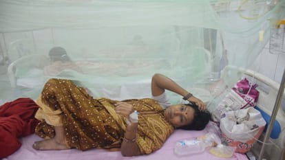 Sample of 200 positive patients sent to Pune lab for dengue outbreak