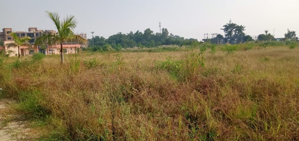 six years old university have no play ground