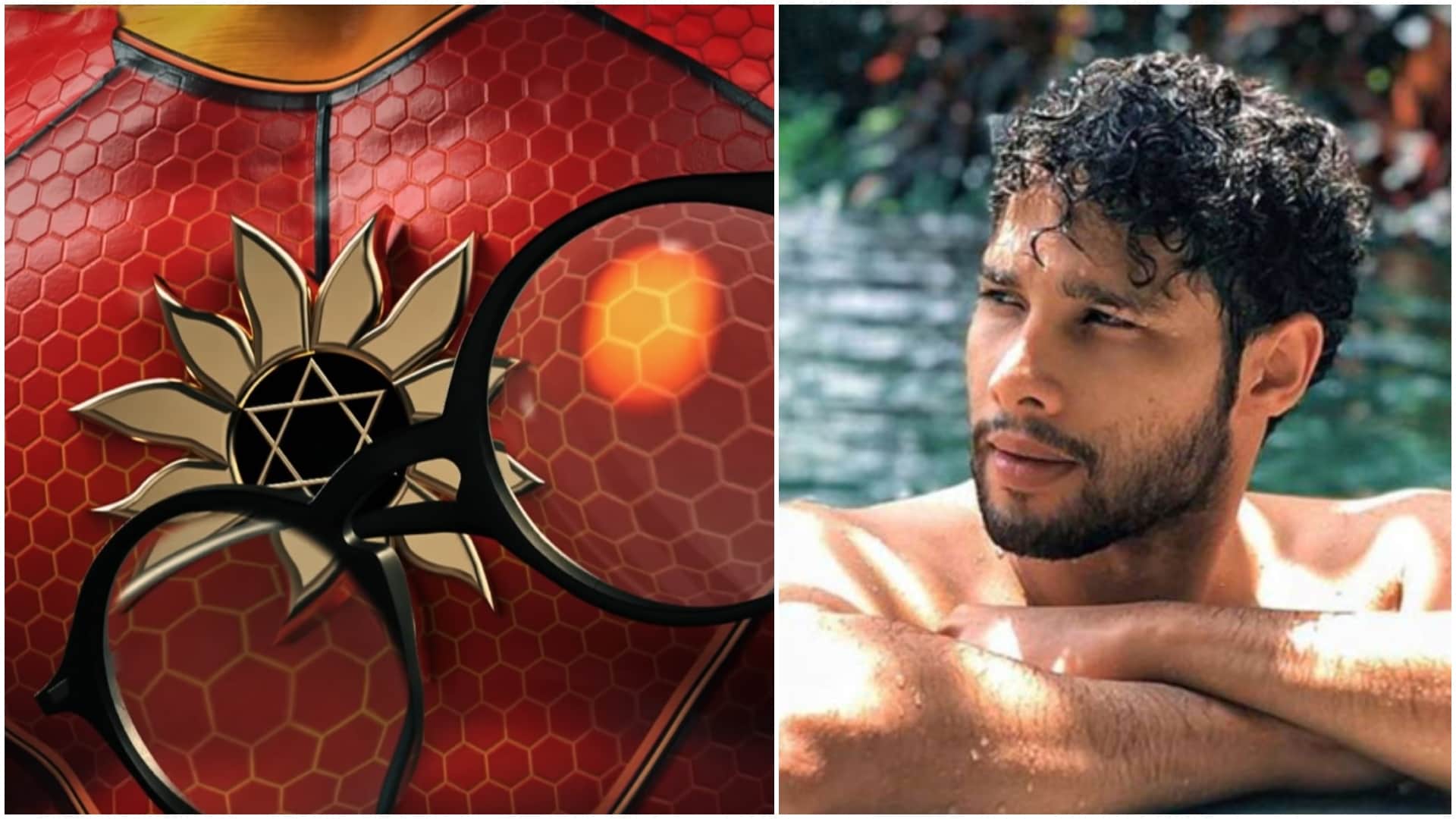 Exclusive Mukesh Khanna reveals if siddhant chaturvedi becoming Shaktimaan in film or not