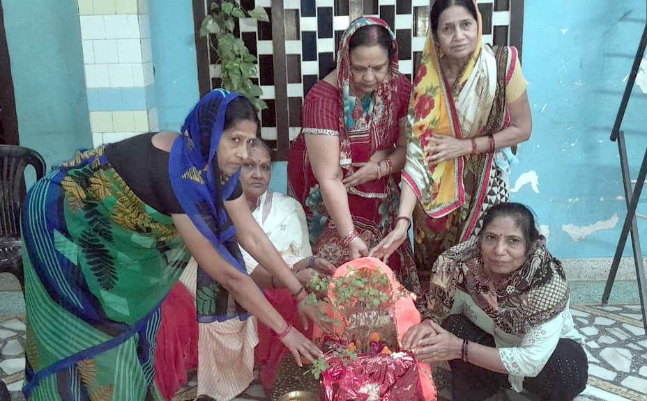 Tulsi marriage done on Devotthan Ekadashi