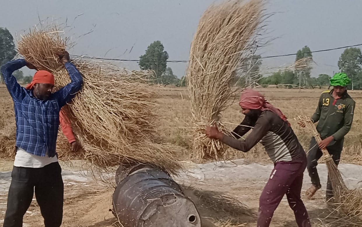 agriculture