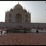 ताजमहल में बंदर