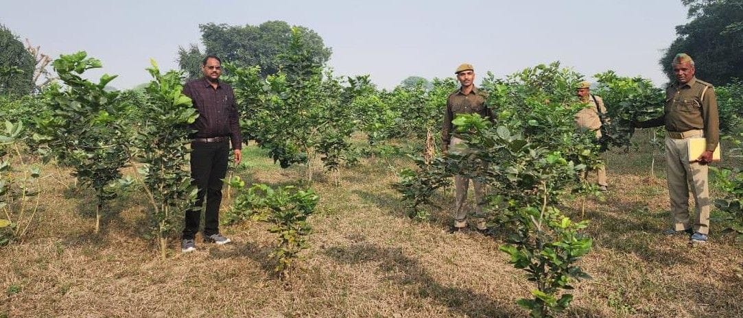 Hathras: Claims to purify the air from 26 lakh plants