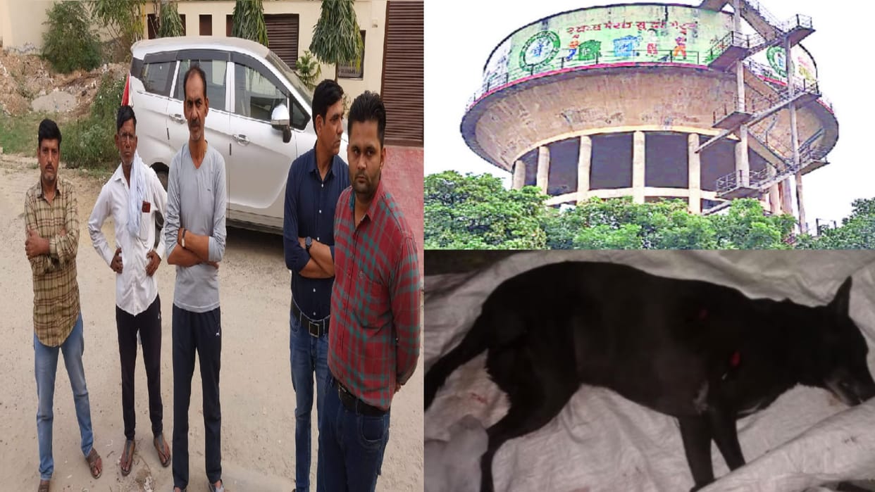Meerut Father eyes moist after remembering daughter three dogs left food