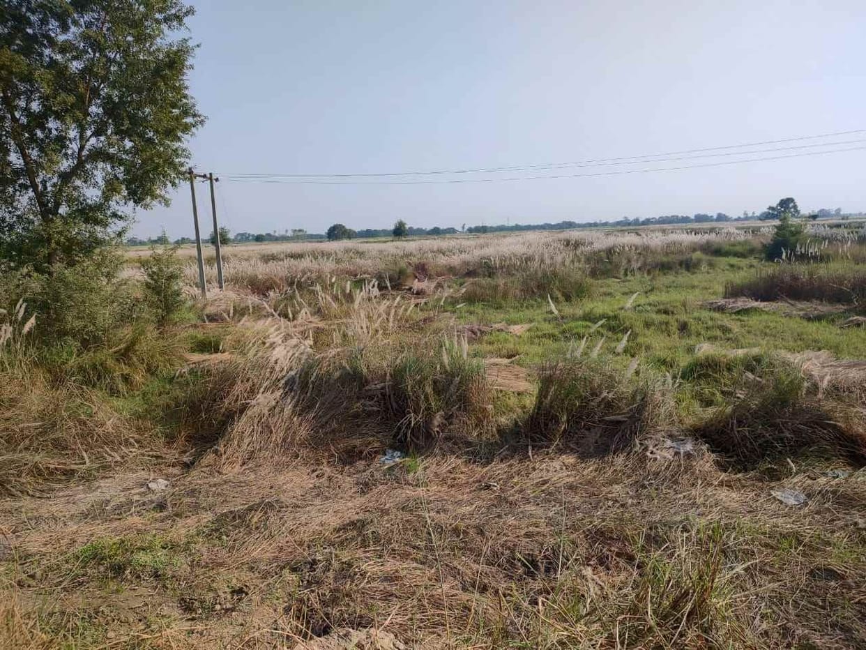 multipurpose hub developed in rajwatia