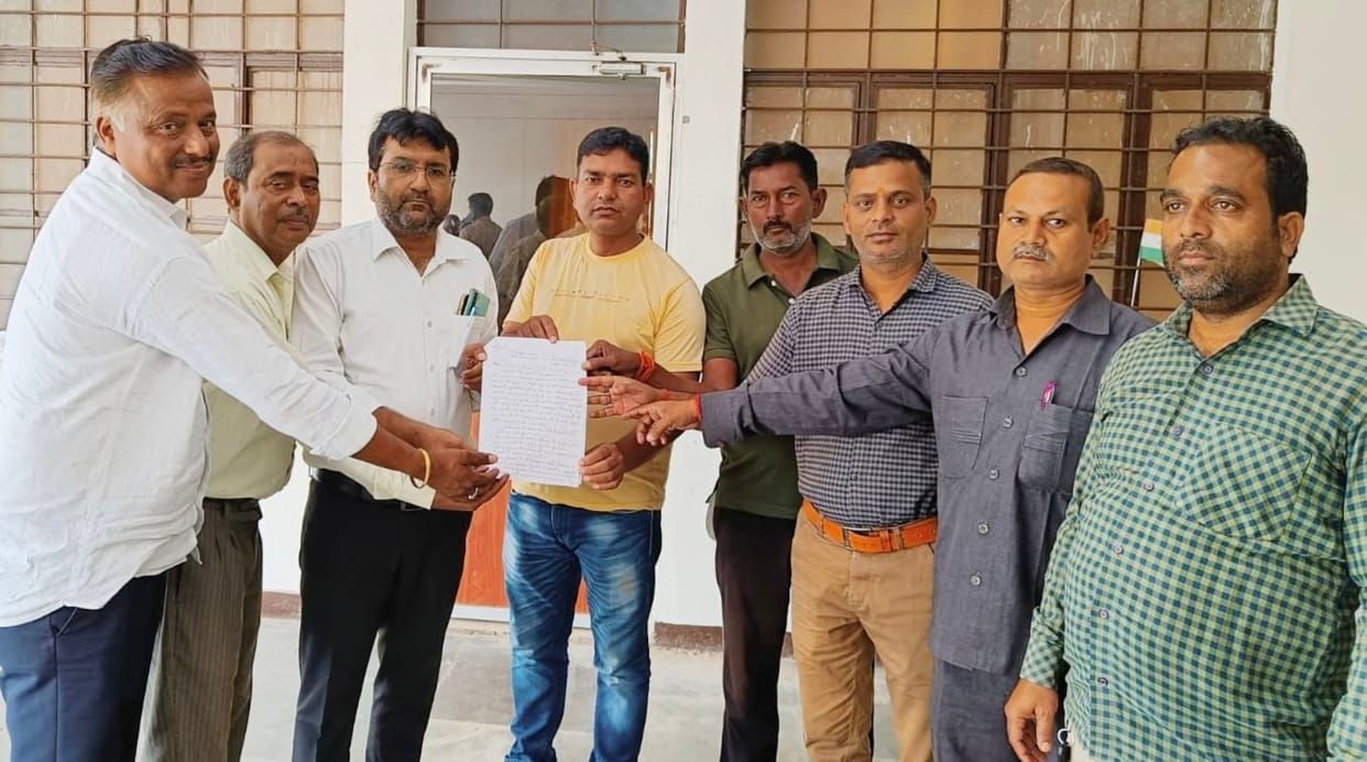 allegation of irregularity in development work