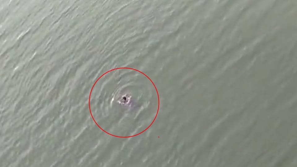 Uttarakhand News: Youth jumped in Tehri lake from Dobra-Chanthi bridge