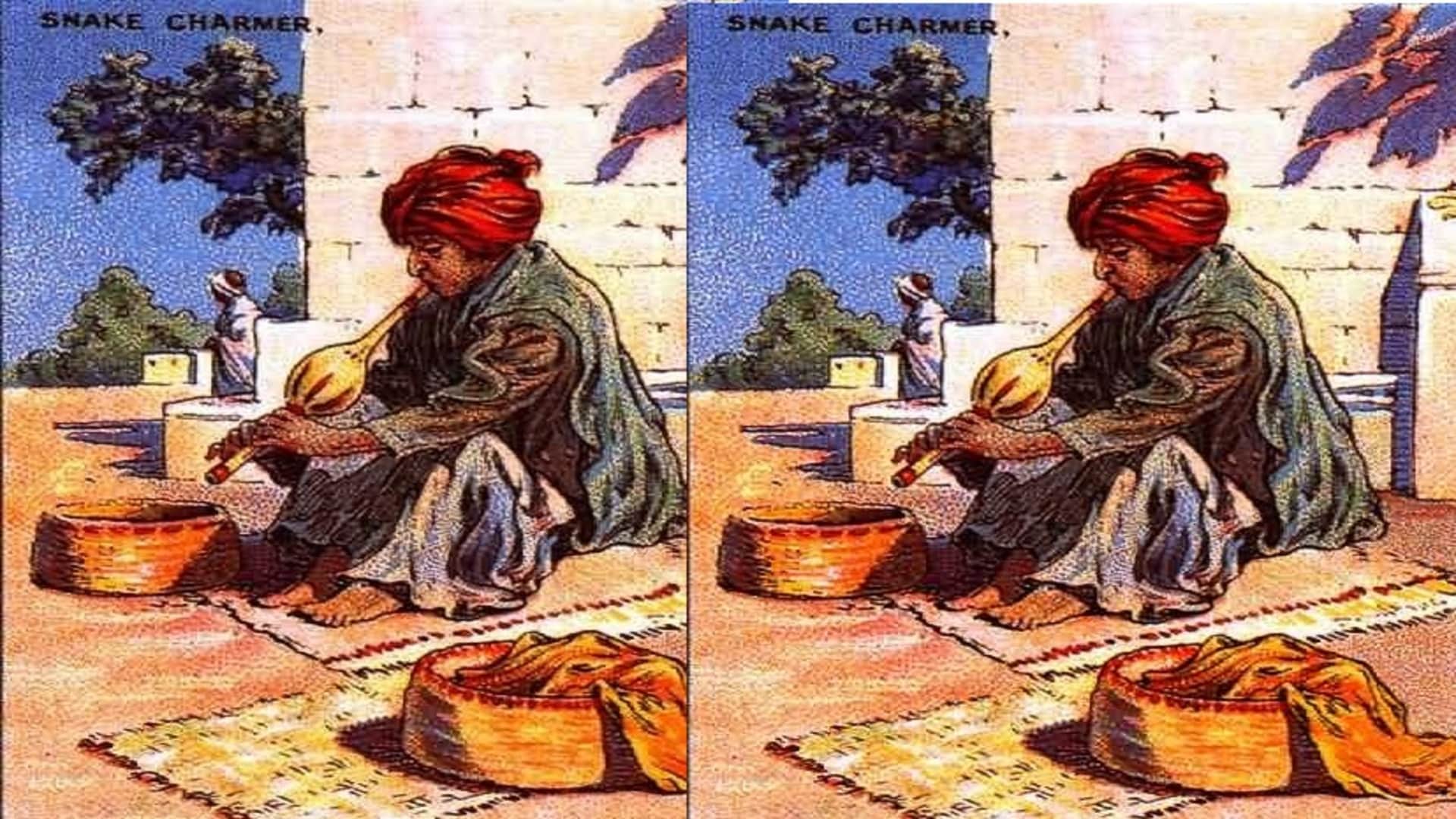 Optical illusion: Spot the hidden snake in picture in 8 seconds check your brain iq