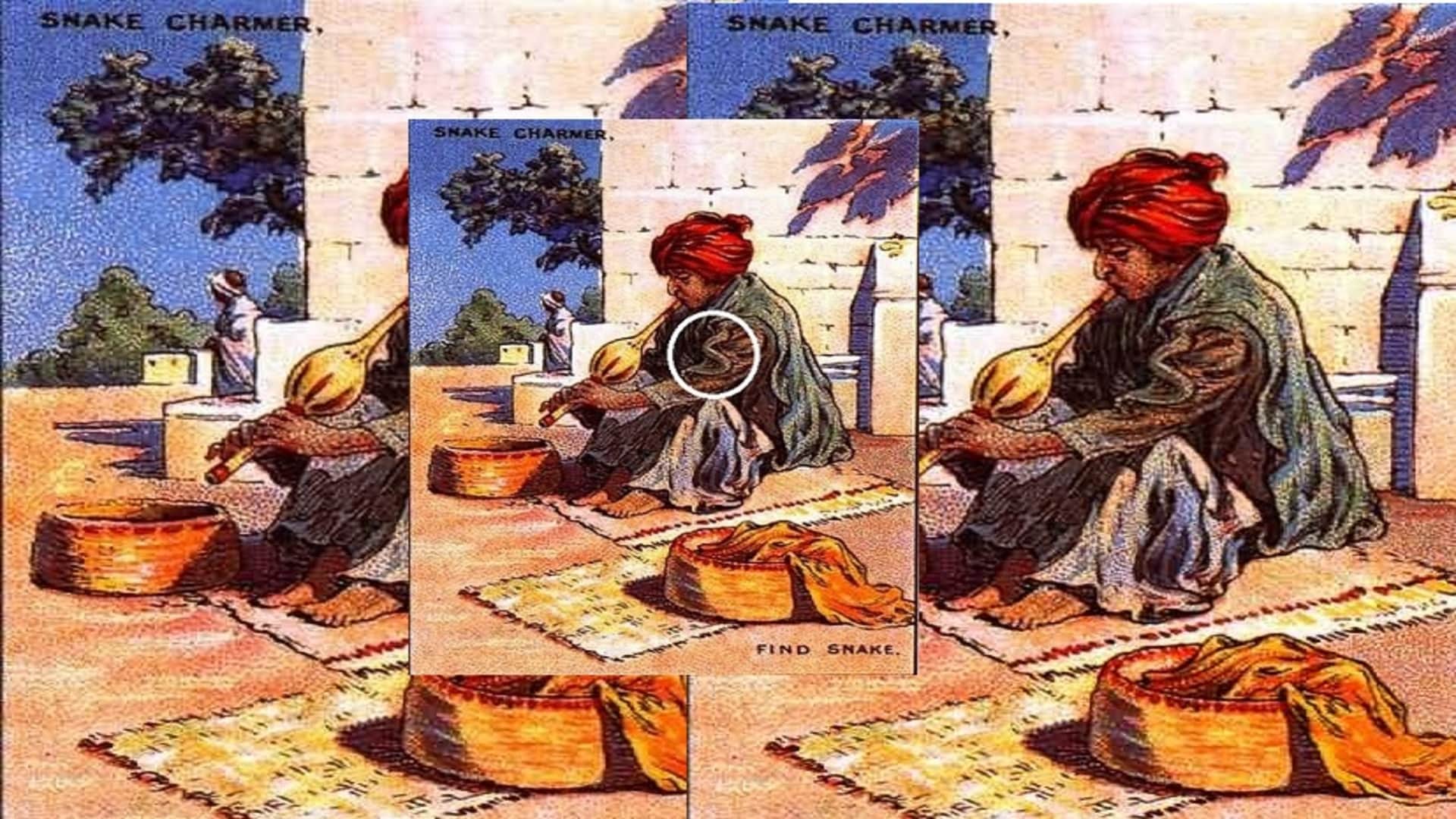 Optical illusion: Spot the hidden snake in picture in 8 seconds check your brain iq