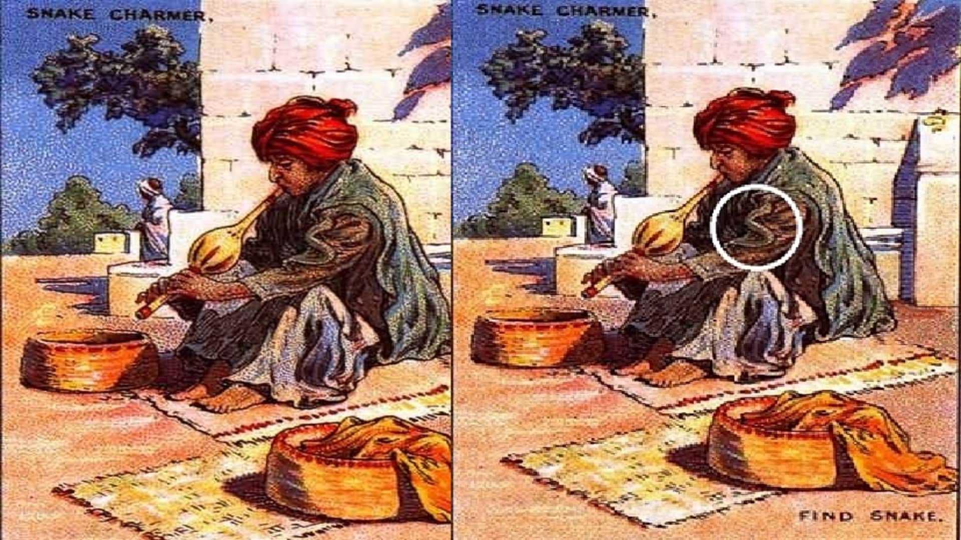 Optical illusion: Spot the hidden snake in picture in 8 seconds check your brain iq