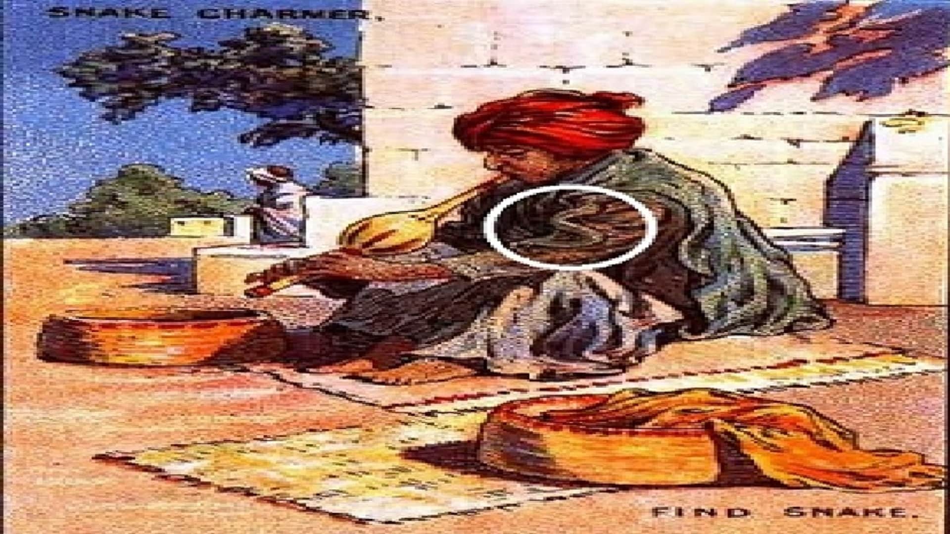 Optical illusion: Spot the hidden snake in picture in 8 seconds check your brain iq