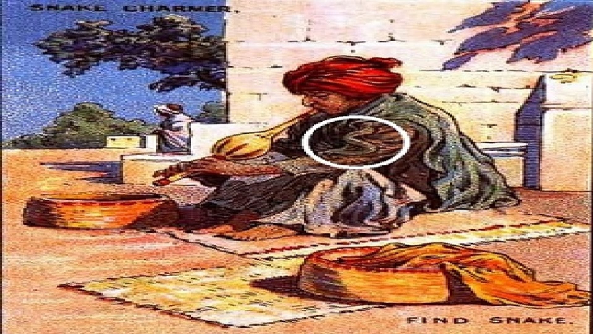Optical illusion: Spot the hidden snake in picture in 8 seconds check your brain iq