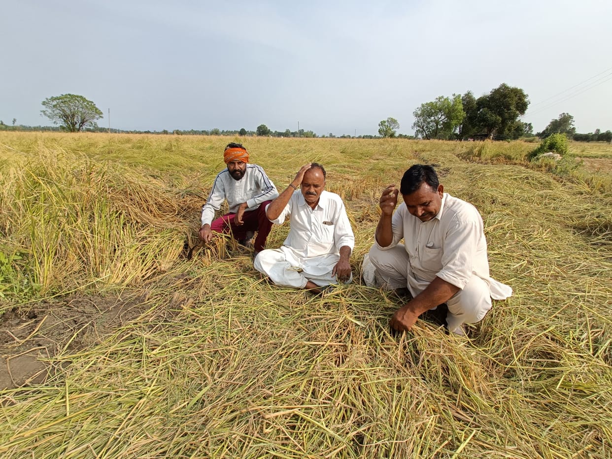 agriculture