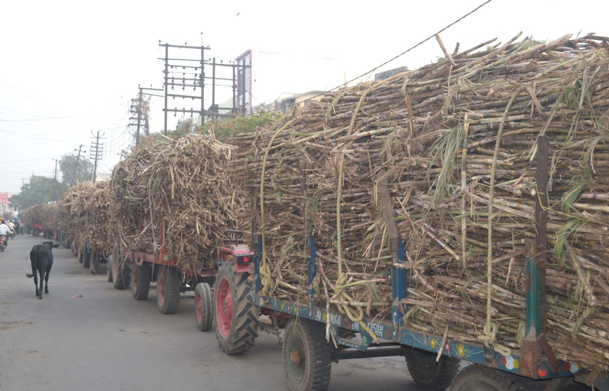 Sugar mill was jammed with sugarcane vehicles for the whole day due to a fault in the boiler
