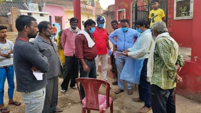 MP News African swine fever dead 85 pigs in Katni 115 infected