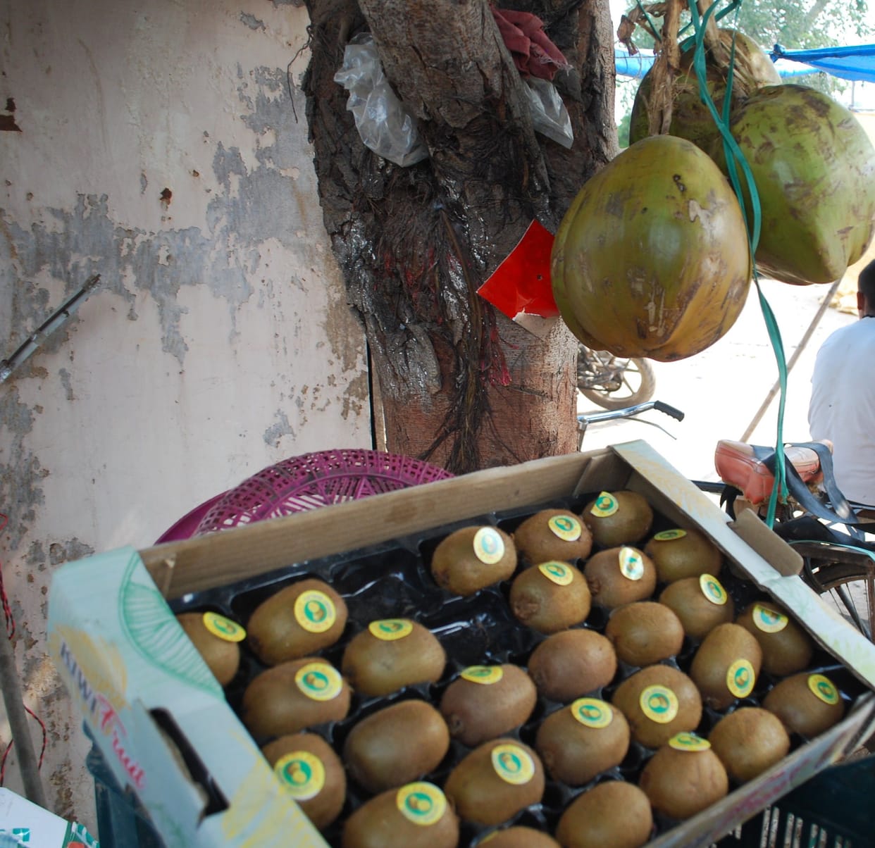 Hathras: Kiwi and coconut water support for fighting dengue