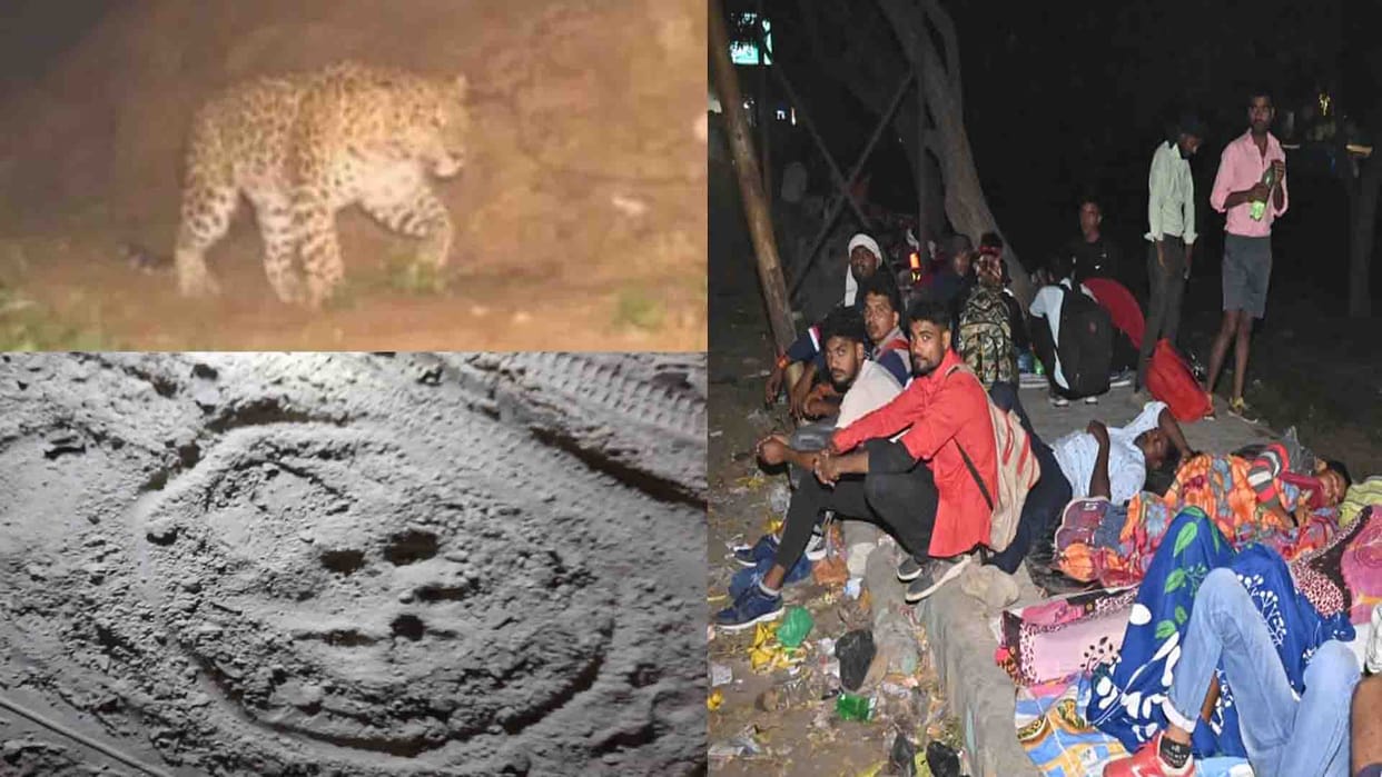 Leopard in Kanpur: Now Leopard entered SAF, Agniveer's candidates scared