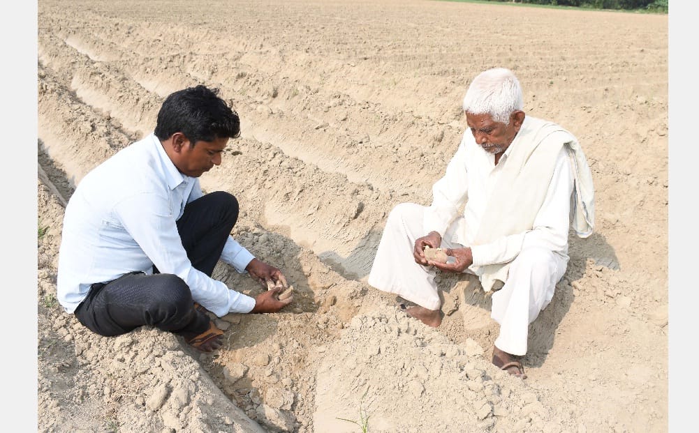 Potato did not grow in one thousand bighas due to drug effect in Kannauj