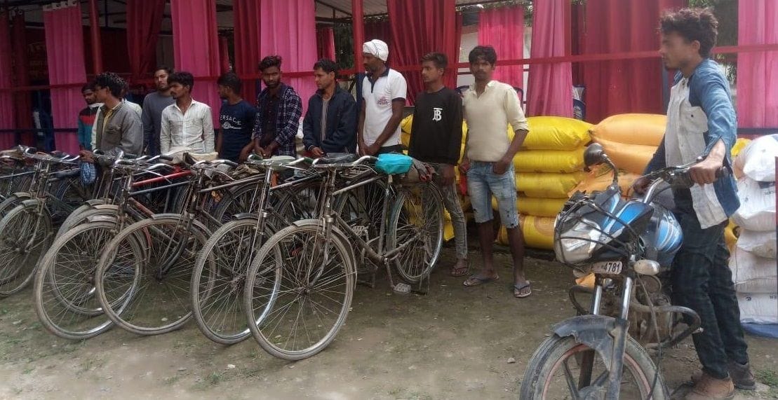 Fertilizer and rice recovered